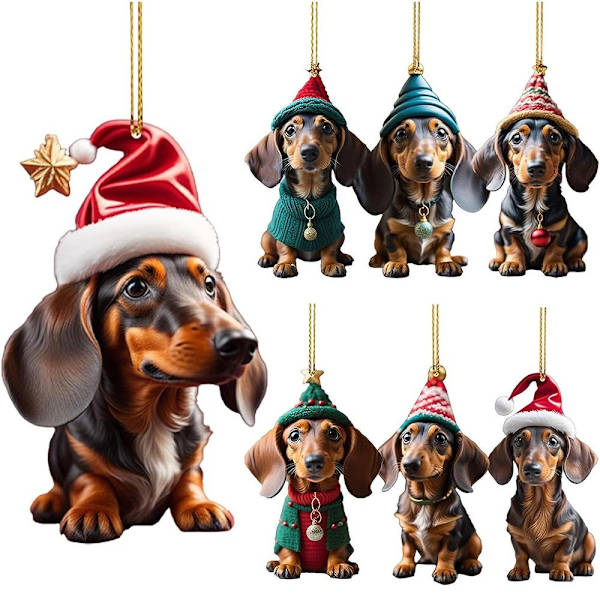 Häxhatt Hundhänge Hund Julgransprydnad C C C