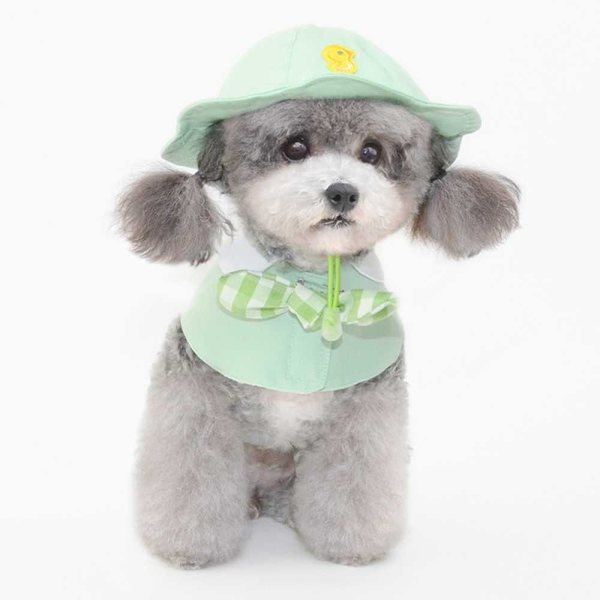 Pet Hat cap BLÅ S blue S