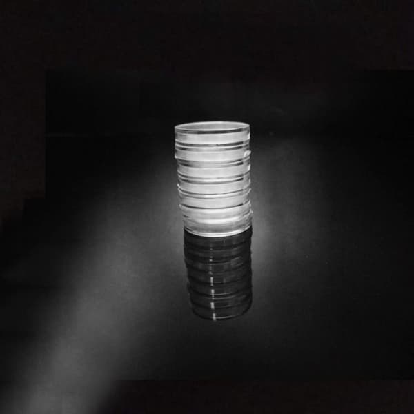 100 st Myntbox Myntskyddsbox 27MM 27mm