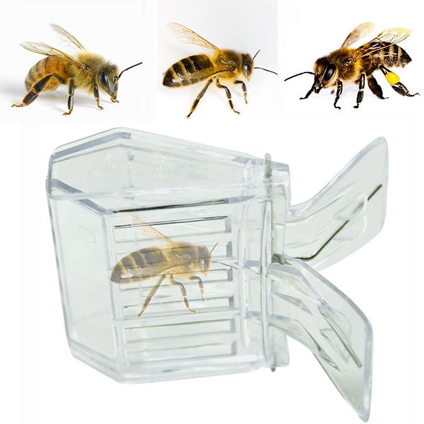 5 STK Queen Bee Cages Clip Biavler Clips Insektfanger