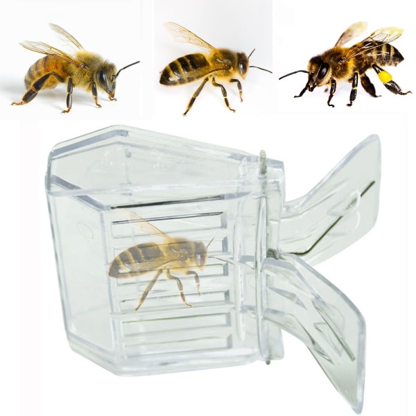 5 STK Queen Bee Cages Clips Beekeeping Clips Insektfanger