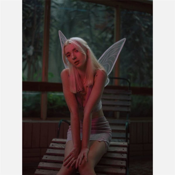 Halloween kostymer Fairy Wings Dress-Up Wings pink