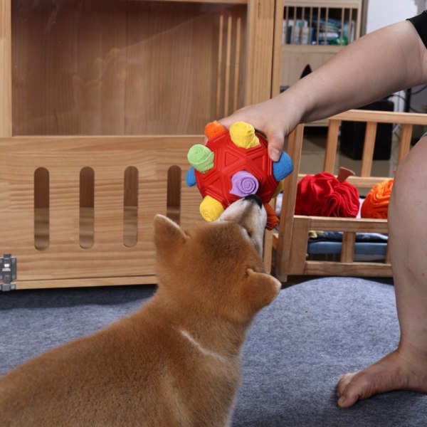 Snuffle Ball Legetøj Lækage Legetøj Bold B B B