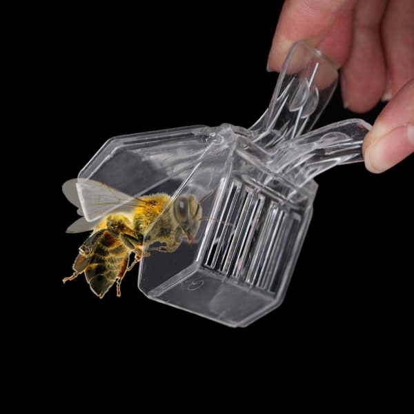 5 STK Queen Bee Cages Clips Beekeeping Clips Insektfanger