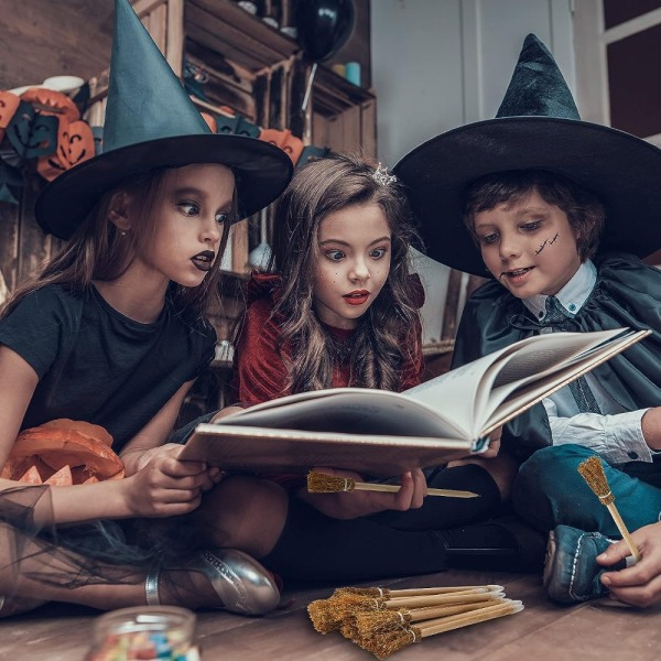 Witch Broom Lyijykynät 12 kpl musta