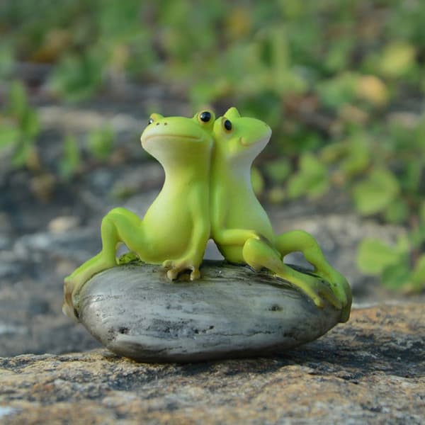 Staty av groda D D