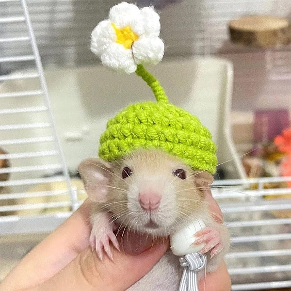 Hamsterlue Strikkeluer TYPE A TYPE A Type A