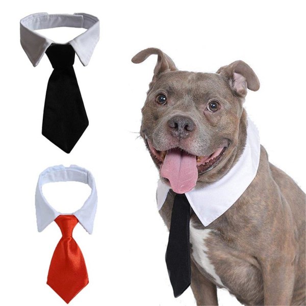 Formell slips för hundkatt svart s
