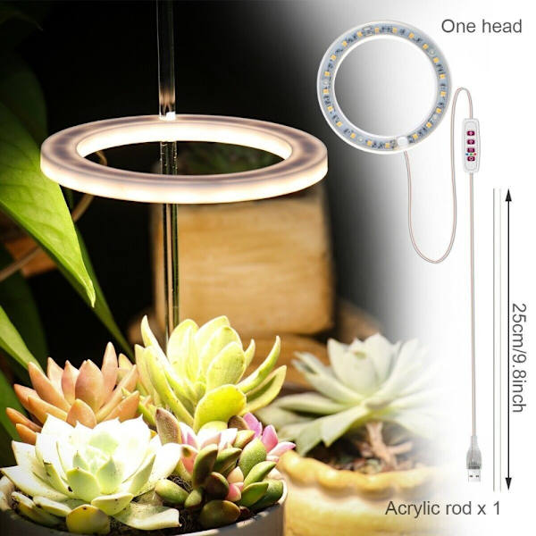 Grow Light Ring Lamppu 1 RING 1 RING 1 Ring
