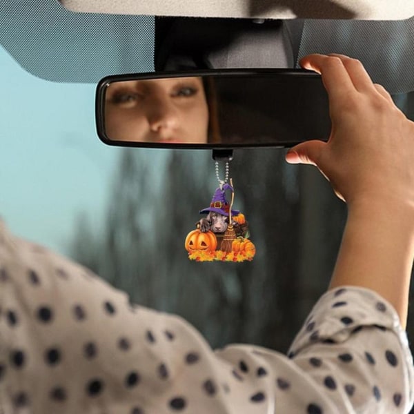 Bil Pumpa Djurhänge Bil Backspegel Ornament 4 4 4