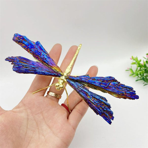 Aura Tourmaline Kyanite Dragonfly Butterfly ja Dragonfly A