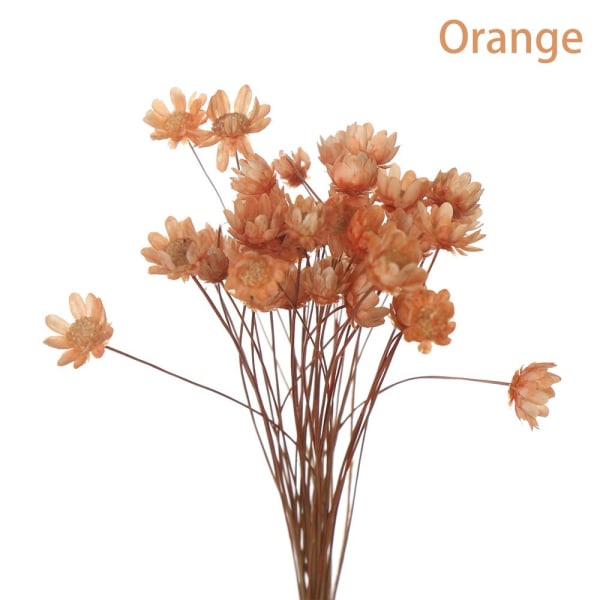 30st dekorativa torkade blommor Mini Daisy ORANGE orange