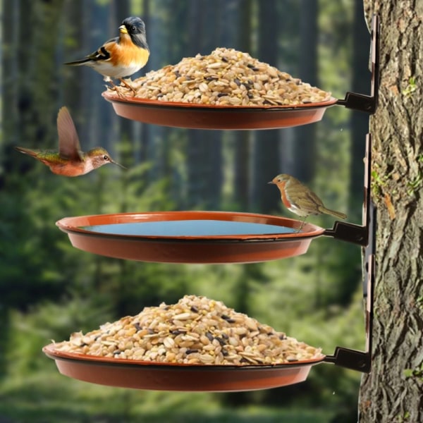 Humming Bird Feeder Fågelbadkar TVÅ LAG TVÅ LAG Two layers