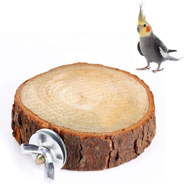 Bird Perch Stand Pet Platform 6-8CM 6-8cm
