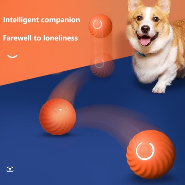 Hundleksaksboll Självgående bollar BLÅ blue