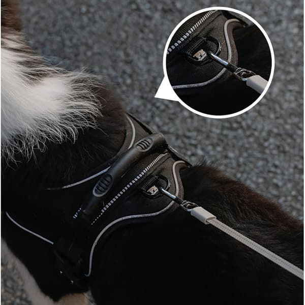 Blyband Infällbart hundkoppel VIT WHITE