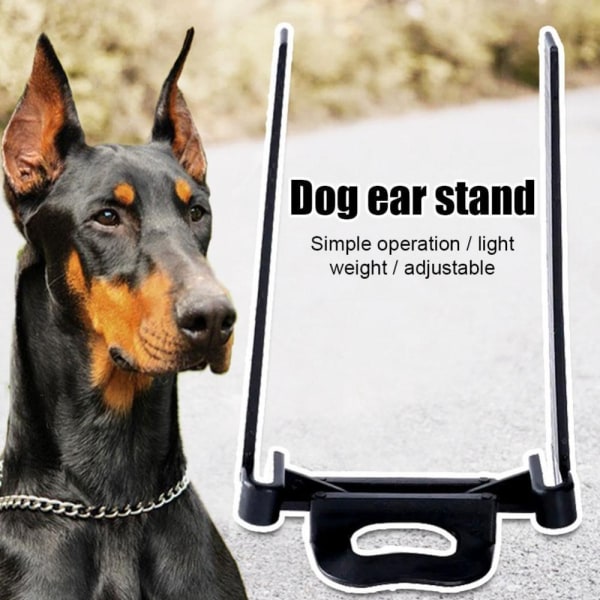 Dog Ear Stand Doberman Ear Stand Up D D D
