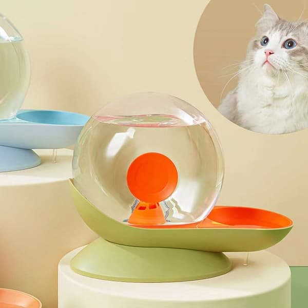 Vandfoder til kæledyr Cat Vanddispenser FARVE 6 FARVE 6 Color 6