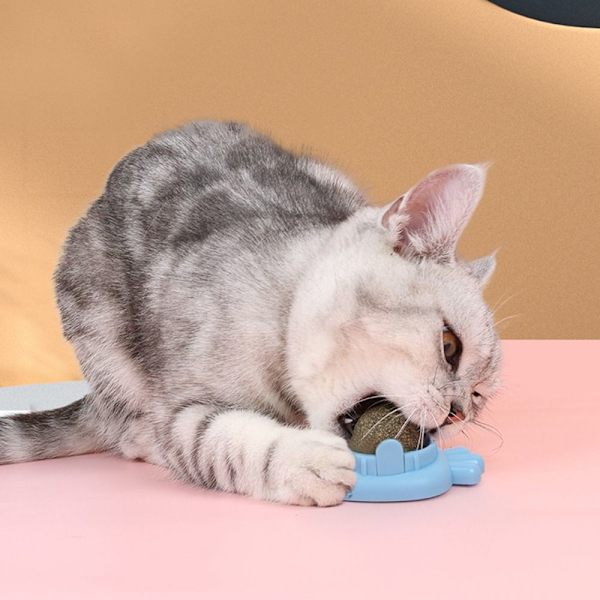 2STK Catnip Balls Cat Mint PINK GULEROD GULEROD Pink Carrot-Carrot