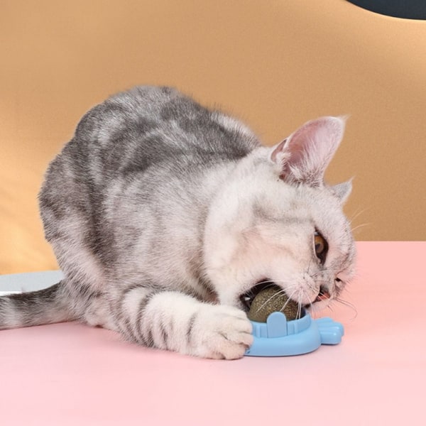 2STK Kattemynteballer Katt Mint BLÅKATT KATT Blue Cat-Cat