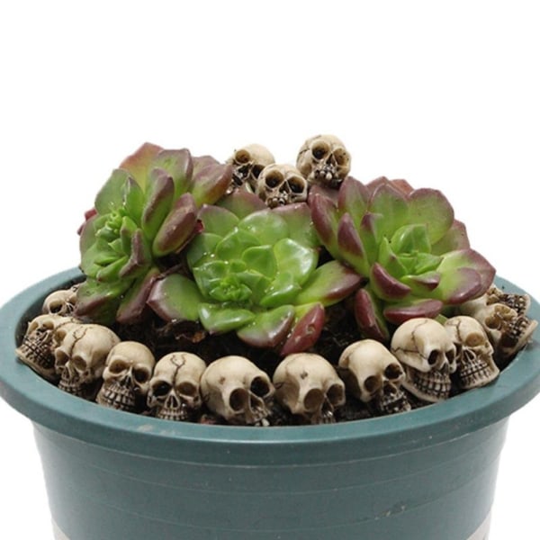 20 Stk Skull Heads Mini Skull Statue Skeleton Ornament 20 Pcs