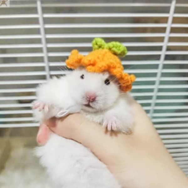 Pet Caps Pet Supplies TYP A TYPE A Type A