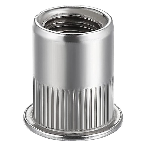 100 Styck Nitmutter Flat Head Rivnut Insatsmutter