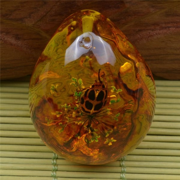 Butterfly Amber Stone Insect Spcimen Riipus RAPURAPU crab