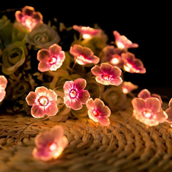 Cherry Blossom Light String Gårdslampe String RØD red