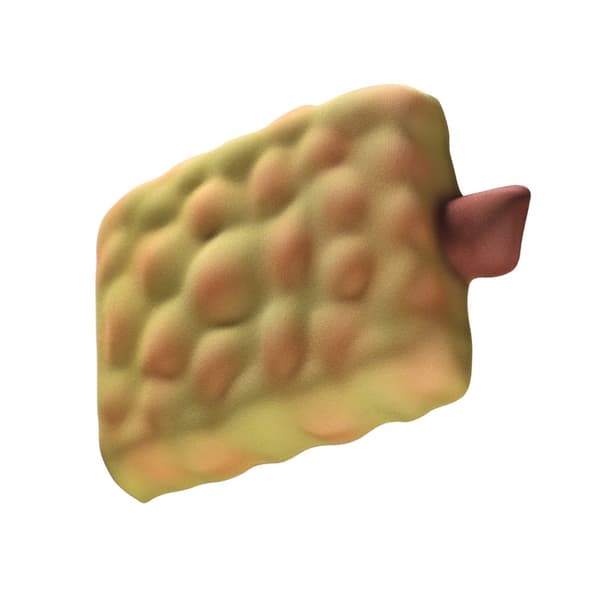 Durian Mus Handledsstöd Ergonomiskt Handledsstöd Silikon Handledsdyna för Dator