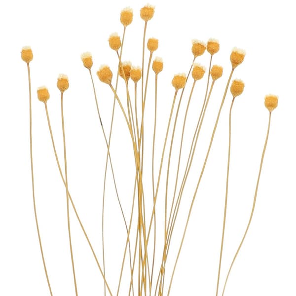 50 st Diffuser Pinnar Brännbara Aromaterapi Rör Pinnar Refill med Blomma