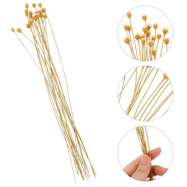 50 st Diffuser Pinnar Brännbara Aromaterapi Rör Pinnar Refill med Blomma