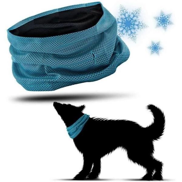 MAVURA Cooling Dog Halsband - Blå - Vuxen