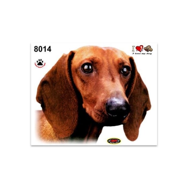 Klistermärke Dachshund Dog Sticker, 14 x 16 cm