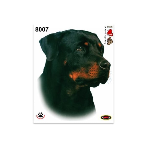Klistermärke - Rottweiler - 14 x 16 cm - Hög kvalitet - Motståndskraftig - Ljusa färger