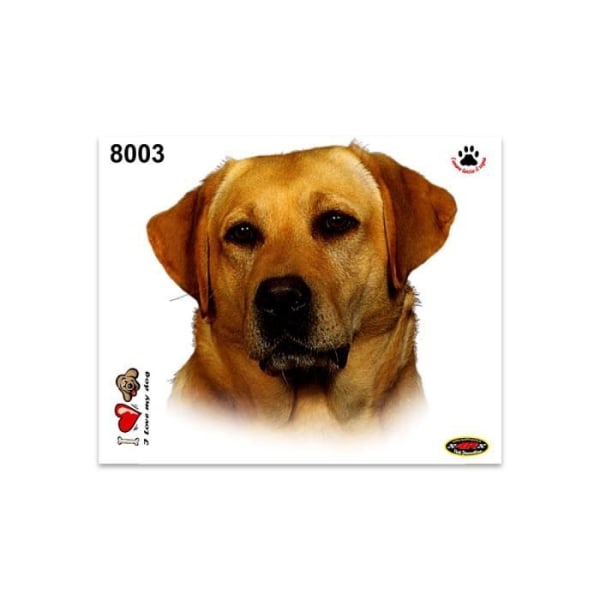 Klistermärke - Labrador - 14 x 16 cm - Hög kvalitet - Hållbar - Klara färger