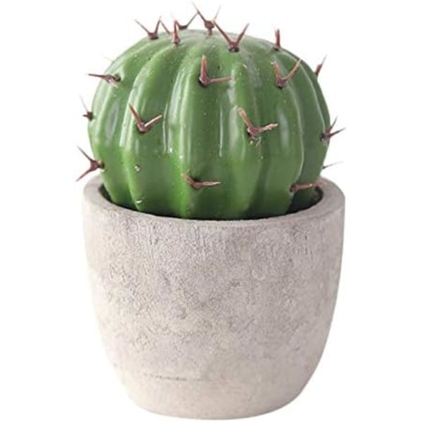 Kunstige sukkulenter kaktusser med potter kunstige planter i potte