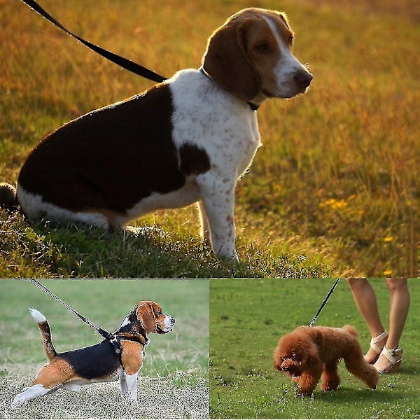Hundträningslina på 100 meter - Extra lång hundlina - 30 meter lång hundlina - Perfekt för hundträning