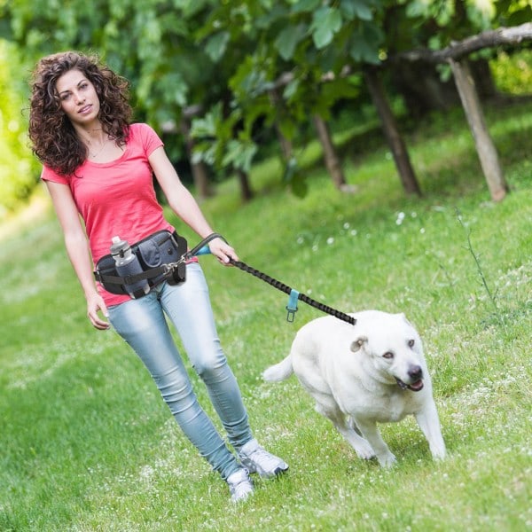 Hundpromenad Fanny Pack med Handsfree Koppel Justerbar Löpar Midjeväska Svart