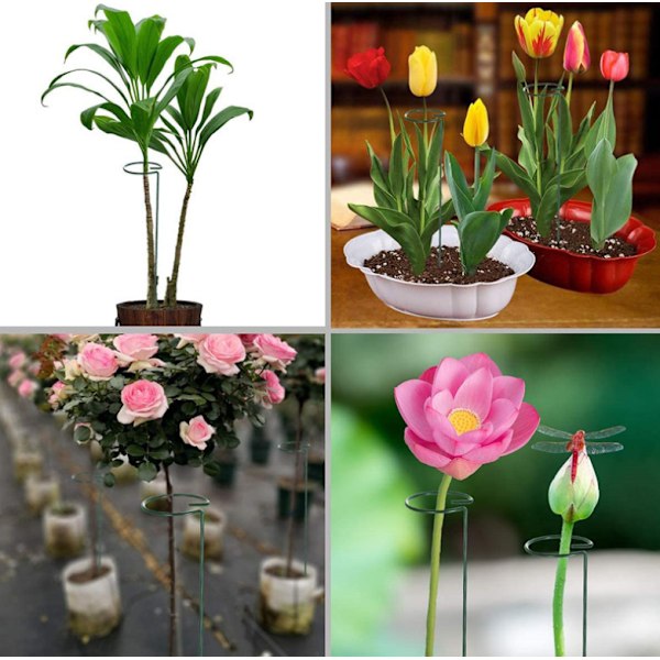 6-pack Blomsterplantstöd Metall Enstaka Stjälkstöd Trädgårdsstöd Amaryllis Orkidé Lilja Ros Tomater Mörkgrön