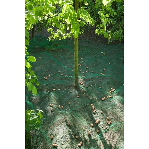 Nature Frukt- og løvnett 4,3x4,3 m 6030451 1050