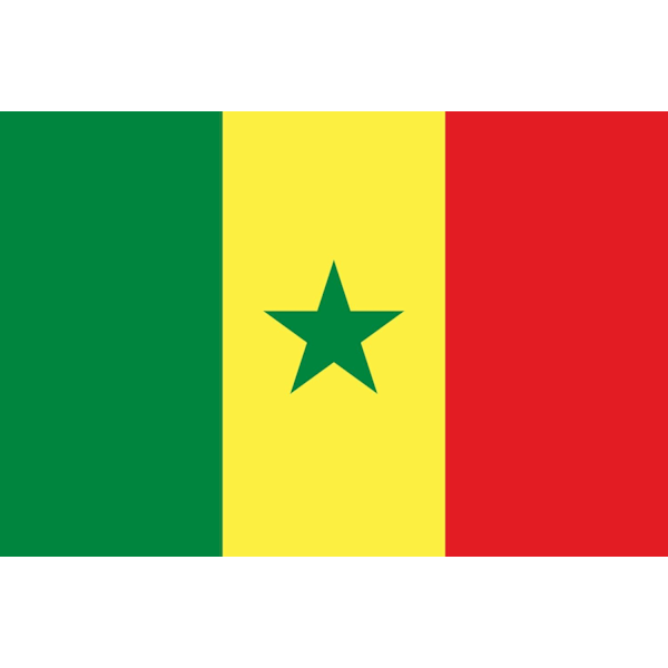 Senegalin lippu Senegal