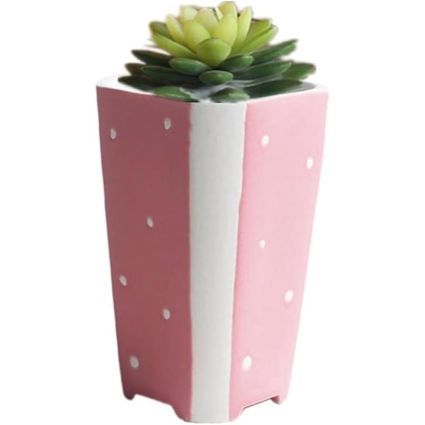 Mini Keramiske Blomsterpotter til Hjem, Have, Kontor og Indendørs, E-XM2-
