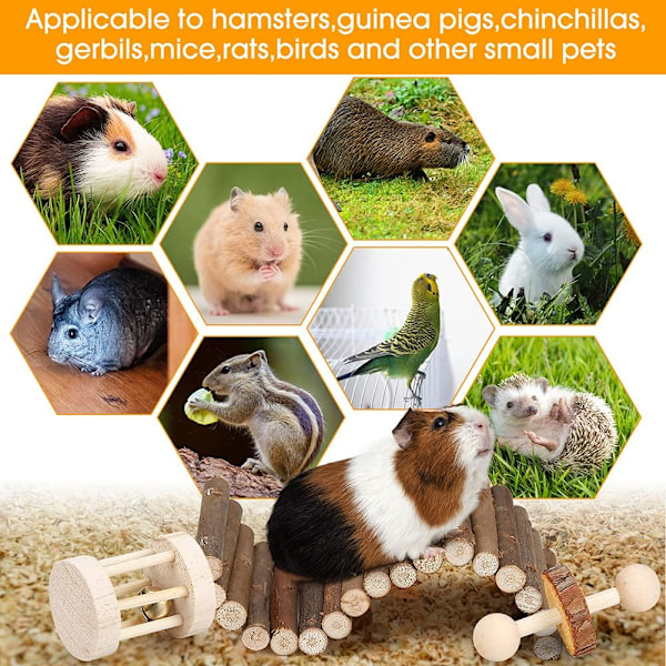 Hamster Tuggleksaksset Smådjurs Molarleksaker Tandvård Trä