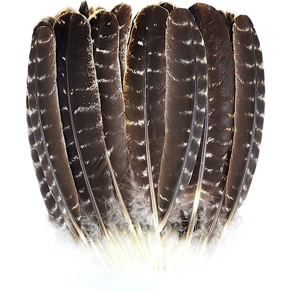 21 st naturliga kalkonfjädrar för gör-det-själv-hantverk, bröllopsfest och heminredning