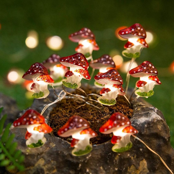 Svamp LED Lys Kæde, 3 meter 30LED Juledekorationer-XM2-