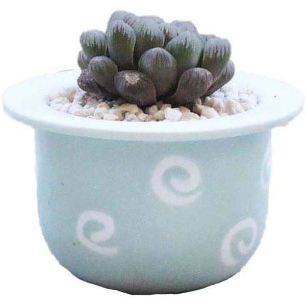 Mini Blomsterpotter til Sukkulenter - Moderne -Kaktus-Saftig Blomsterpotte-XM2-