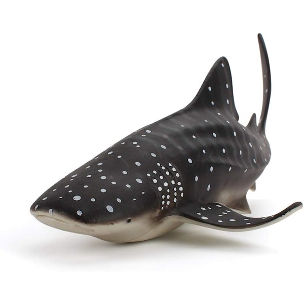 Hvalhaj Simulation Ocean Hav Marine Dyr Model Figurer Legetøj Model Fødselsdag
