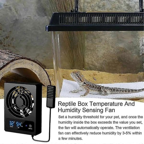 Køleventilator til krybdyrterrarium med LED-temperaturdisplay Svart