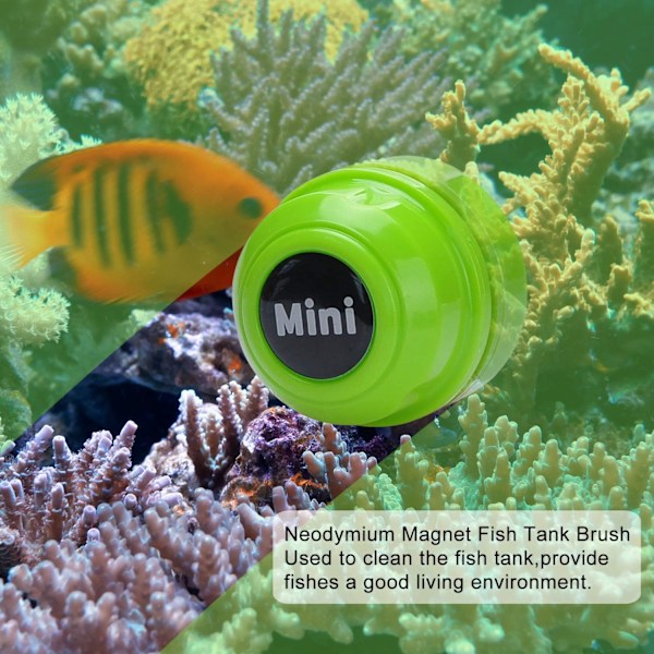 Mini Magnetisk Akvarieborste - Akvarierengörare - Portabel (Grön)